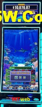 Live Casino Betweb